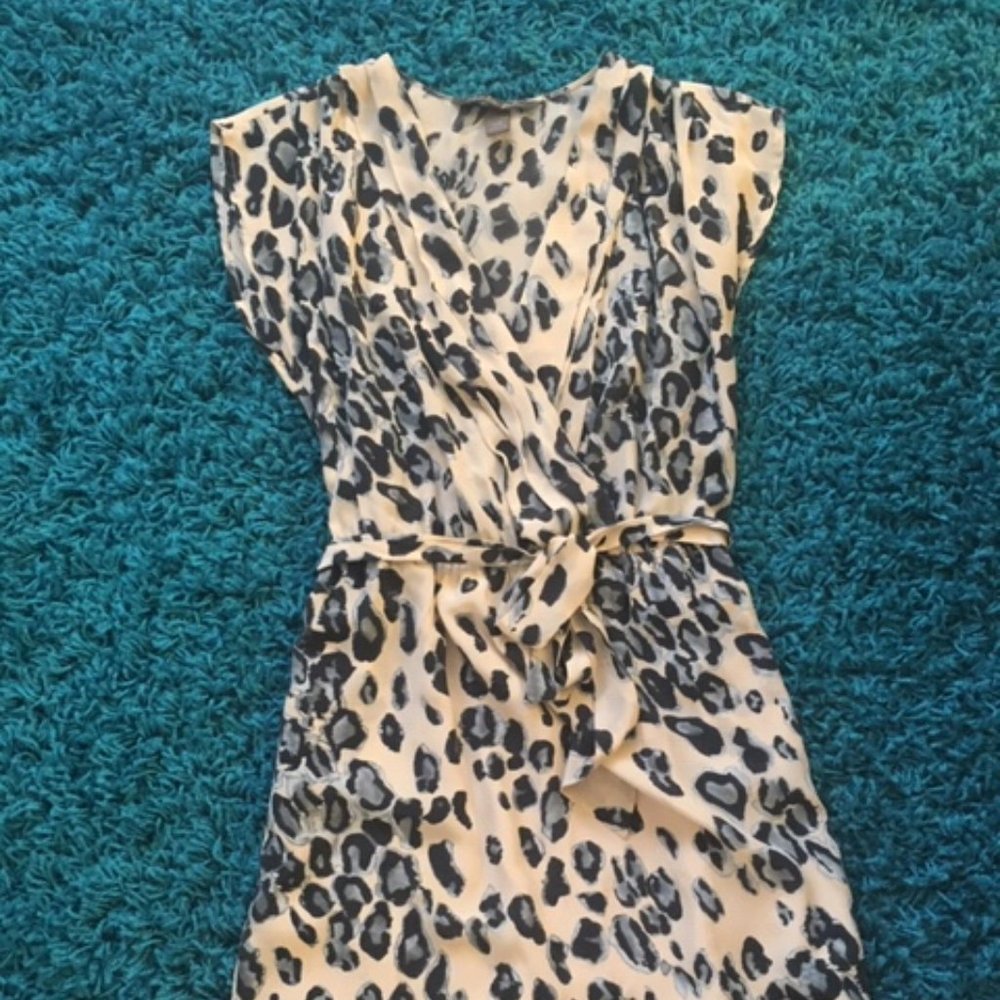 Charlie Jade 100% Silk Dress